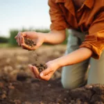 Biodiversità del suolo