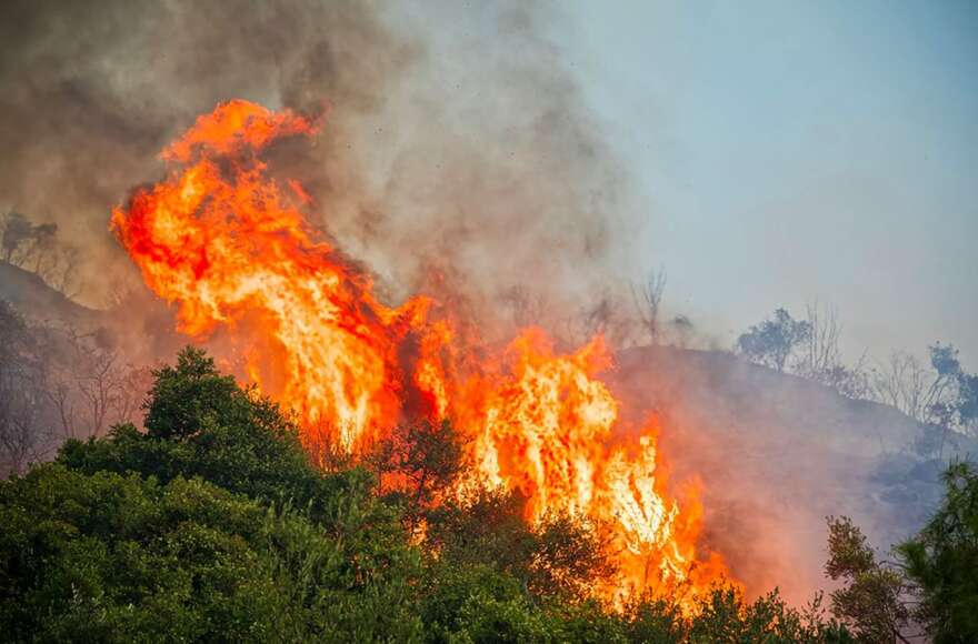 incendi forestali